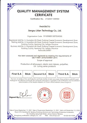 ISO9001(英文)