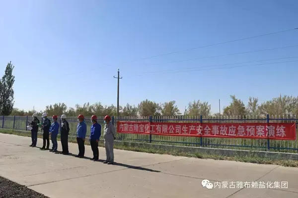 其他图片