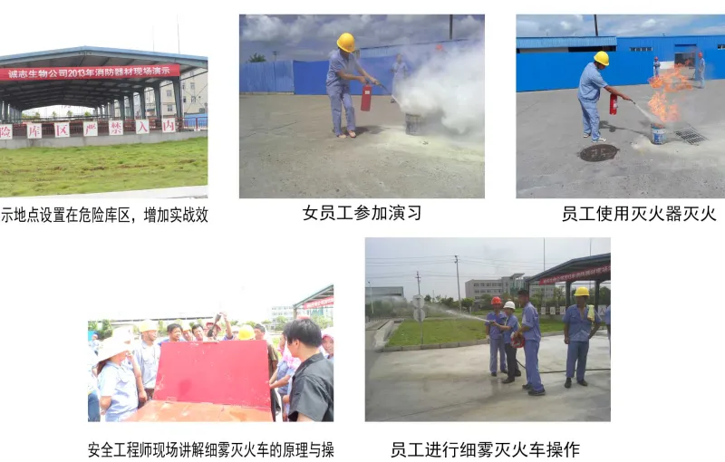 公司活动