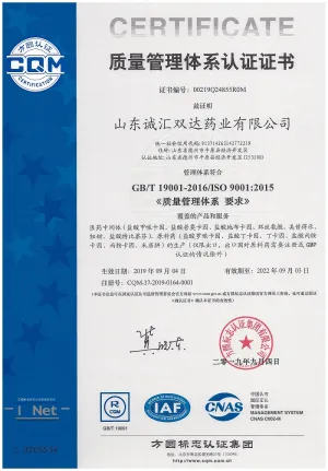 ISO9001(中文)