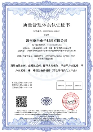 ISO9001(中文)