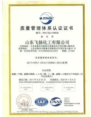 ISO9001(中文)
