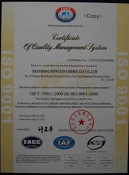 ISO9001(英文)