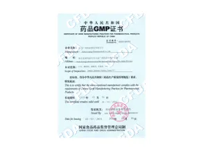 SFDA-GMP