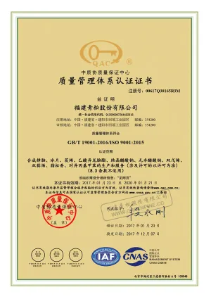 ISO9001(中文)