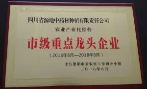 荣誉证书