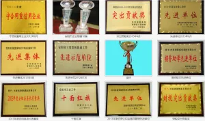 荣誉证书