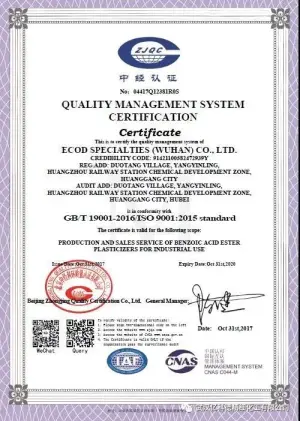 ISO9001(英文)