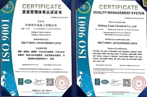 ISO9001(英文)
