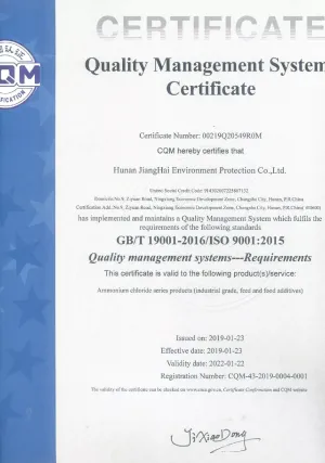ISO9001(英文)
