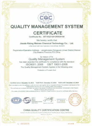 ISO9001(英文)