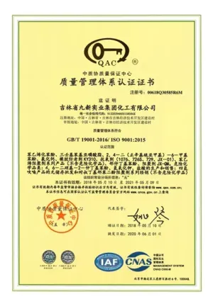 ISO9001(中文)