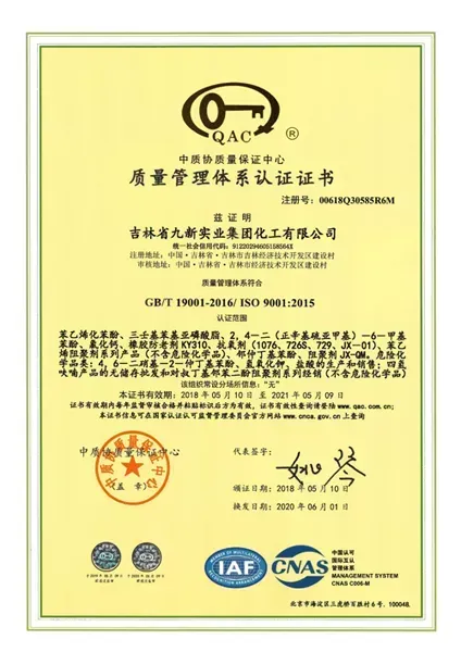 ISO9001(中文)