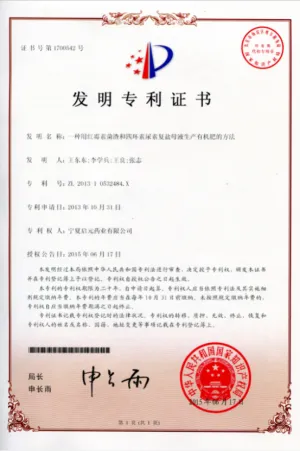 专利证书