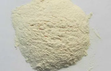 N-{6-氯-5-(2-甲氧基苯基)[2,2-二嘧啶]-4-基}-4-叔丁基苯磺酰胺