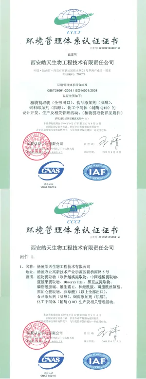ISO14001