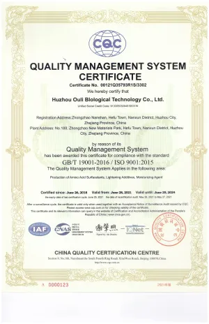 ISO9001(英文)