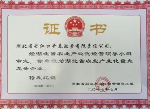 荣誉证书