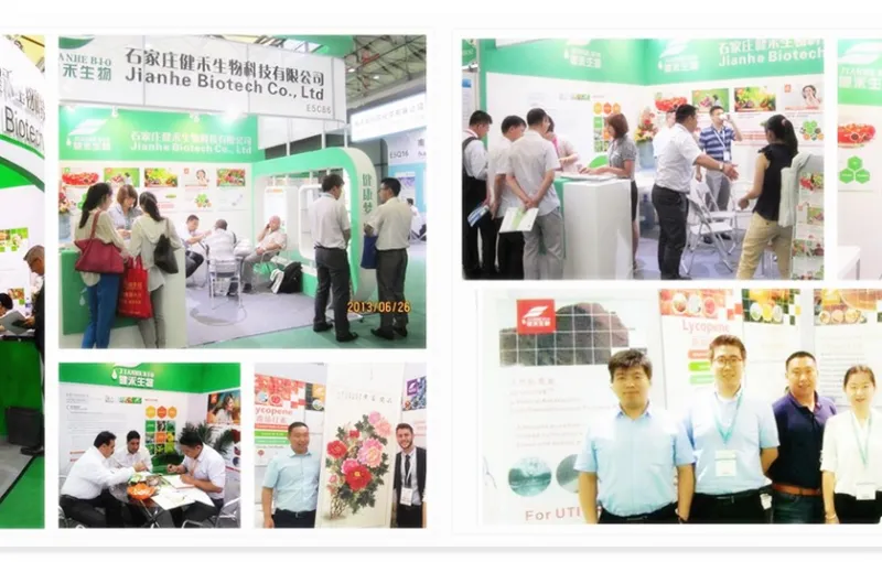 公司参展