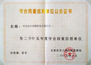 荣誉证书
