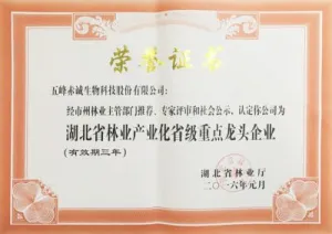 荣誉证书