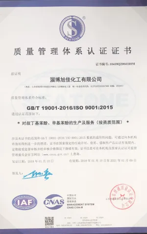 ISO9001(中文)