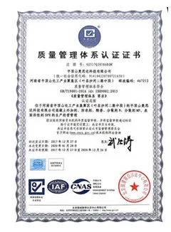 ISO9001(中文)