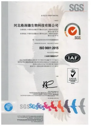ISO9001(中文)