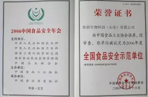 荣誉证书
