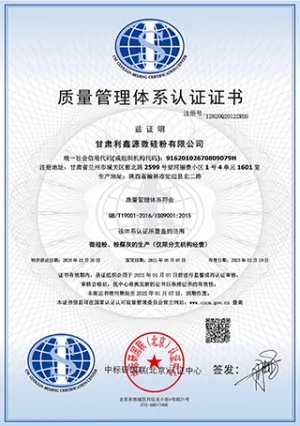 ISO9001(中文)