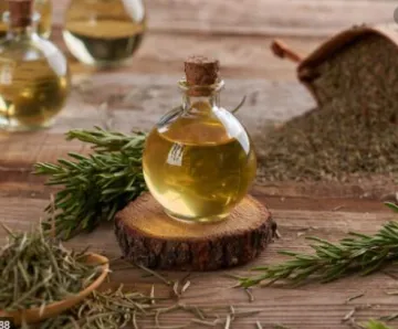 松节油（中药提取物）