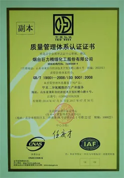 ISO9001(中文)