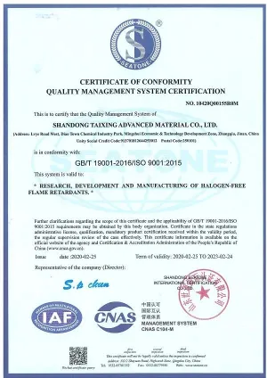 ISO9001(英文)