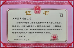 荣誉证书