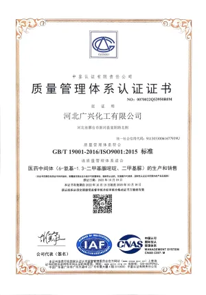 ISO9001(中文)