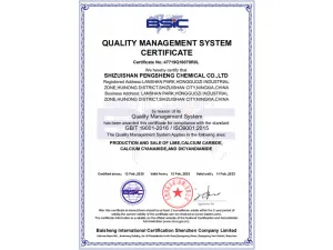 ISO9001(英文)