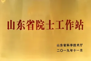 其他证书