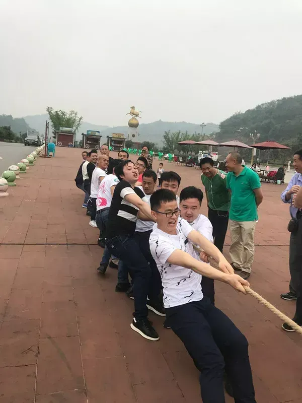 公司活动