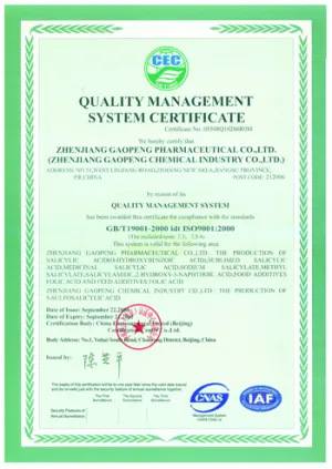 ISO9001(中文)