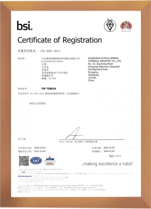 ISO9001(中文)