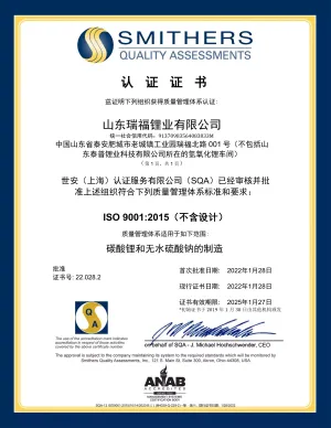 ISO9001(中文)