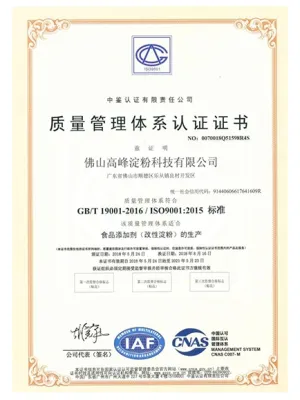 ISO9001(中文)