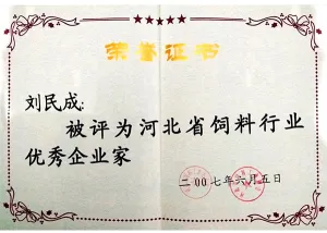 荣誉证书