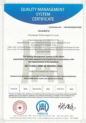ISO9001(英文)