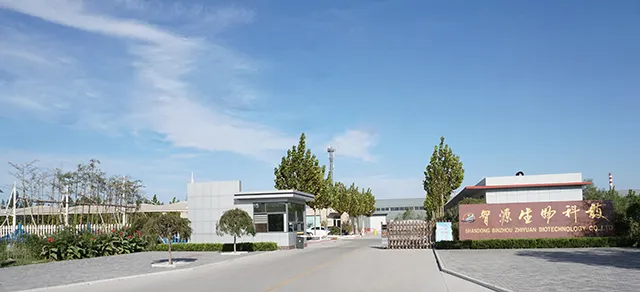 厂房大门