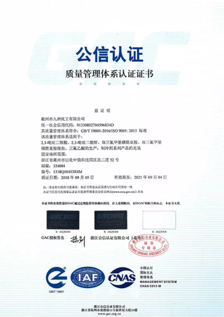 ISO9001(中文)