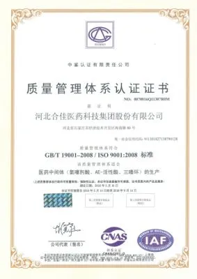 ISO9001(中文)