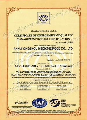 ISO9001(英文)