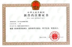 其他证书