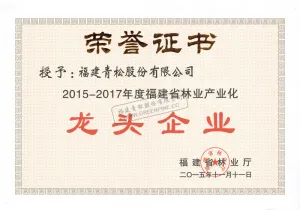 荣誉证书